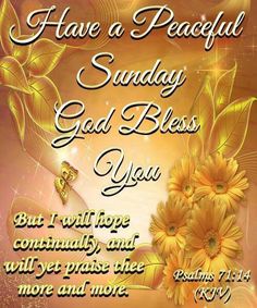 a greeting card with flowers and the words have a peaceful sunday god bless you