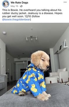 a dog wearing a ducky pajamas sitting on top of a bed