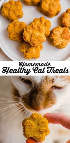 a cat is looking at some food on a plate with the caption homemade healthy cat treats