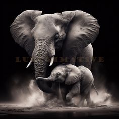 two elephants standing next to each other on a black and white background with dust behind them