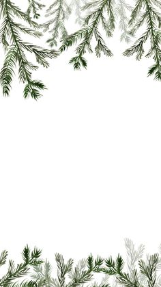 a white background with green branches and snow