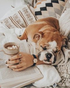 a dog laying on top of a bed next to a person holding a book and cup