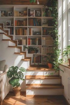 a room with some bookshelves and plants on the shelves next to stairs in it