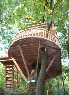 a tree house built on top of a large tree in the middle of a forest