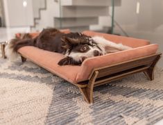 a dog laying on top of a wooden bed in a living room next to a glass wall