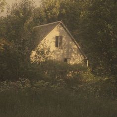 an old house in the middle of some trees and bushes with a window on it