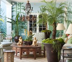 a living room filled with lots of potted plants