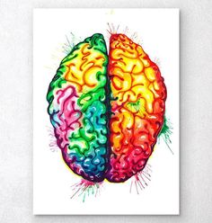 a painting of two colorful brain halves