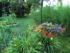 a garden filled with lots of colorful flowers