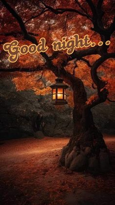 November Good Night, Good Night Blessings Quotes, Goodnight Wishes, Photos Of Good Night, Good Morning Images Hd, Nighty Night, Good Night Messages