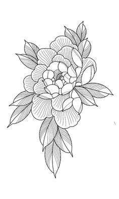 a black and white drawing of a flower