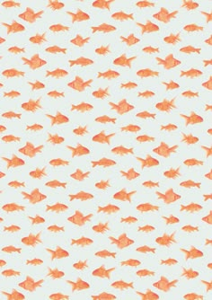 an orange fish pattern on a white background