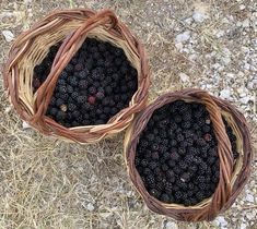 two baskets filled with blackberries sitting on the ground