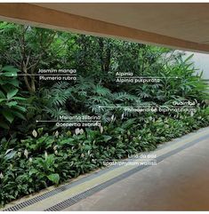 the inside of a building with plants and other things labelled in english, spanish, and german words