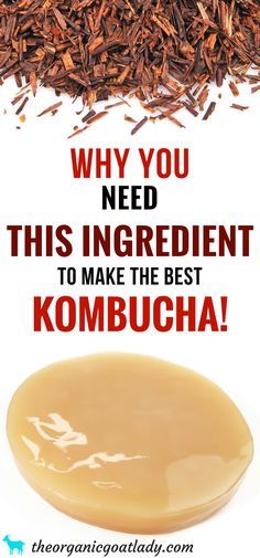 a spoon full of kombucha next to a pile of wood shavings with the words, why you need this ingredient to make the best kombucha