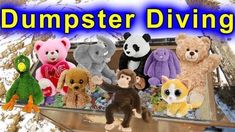 there are stuffed animals in the back of a dumpster that says dumpster diving