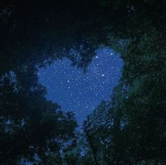 the night sky is filled with stars in the shape of a heart as seen through some trees