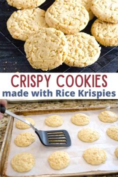 these crispy cookies are made with rice krispies and have only 3 ingredients to make them