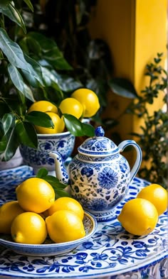 a blue and white table topped with lemons next to a potted plant on top of a wooden table