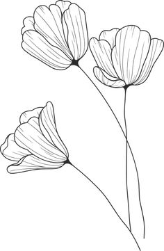 three flowers are shown in this black and white drawing, with one flower on the left side