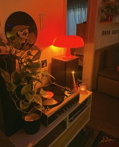 a plant is on top of a stove in a living room with a red light