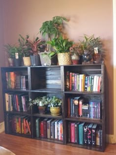 a bookshelf filled with lots of plants and potted plants on top of it