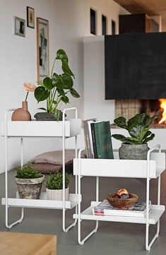 two white trays with plants and books on them in front of a fire place