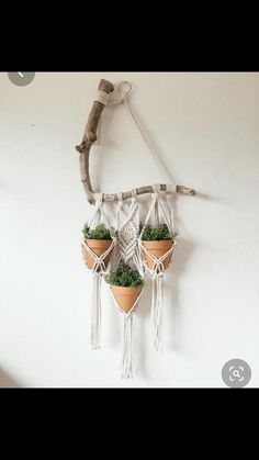 three potted plants are hanging from a rope on the wall, with one planter attached to it