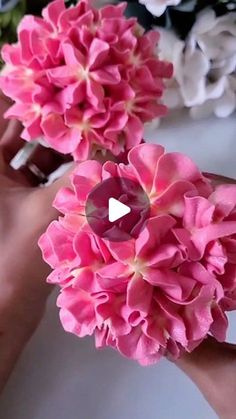 two pink flowers are being held by someone's hand on a white surface with other flowers in the background