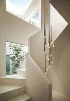 an indoor stair case with lights hanging from it's sides and a plant in the middle