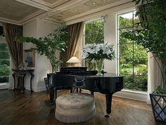 there is a grand piano in the living room with flowers on the table and potted plants