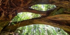 a person climbing up the side of a large rock formation in a forest with lots of trees