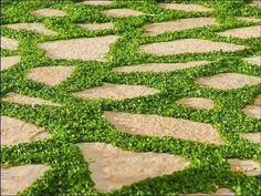 green grass is growing on the cobblestone pavement in an area that looks like a maze