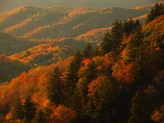 the mountains are covered in autumn foliage and trees with orange, yellow, and green leaves