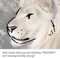 a drawing of a lion's face with the caption, and i know what you are thinking tracing? isn't trying horribly wrong?