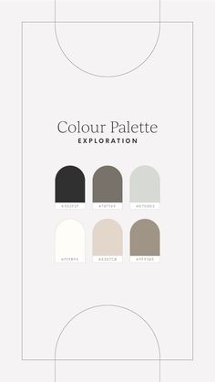 the color palette is shown in different shades and sizes, including black, white, gray,