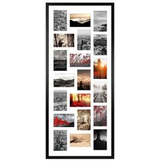 a black and white photo with many different pictures on the wall, including red leaves