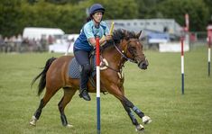 a woman riding on the back of a brown horse while holding onto a flag pole