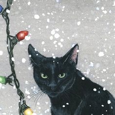 a black cat sitting in the snow with christmas lights around it's neck and eyes