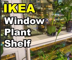 there is a window that has plants in it