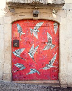 a red door with birds painted on it