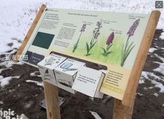 a sign with information about plants in the snow