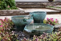 three water bowls are sitting in the middle of some plants