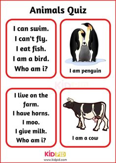 an animal quiz with four different words and pictures on the front, two are black and one is white