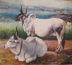 a painting of two white cows with horns standing in the dirt and grass near a cornfield