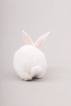 a white stuffed animal rabbit sitting on top of a floor next to a gray wall