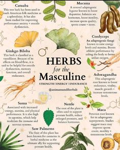 Medicine Garden, Sacred Masculine, Herbal Education, Herbal Remedies Recipes, Masculine And Feminine