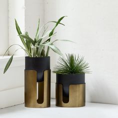 two black and gold vases with plants in them