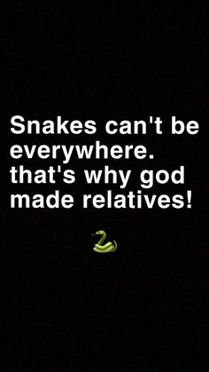 the words snakes can't be everywhere, that's why god made relatives