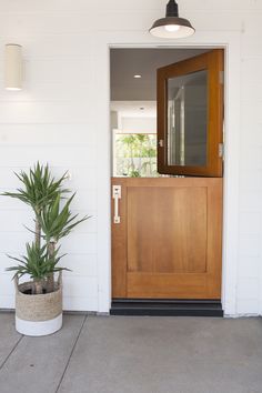 a door with a potted plant next to it